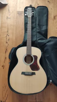 Walden G550e Natura Elektroakusztikus gitár
