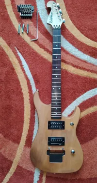 Washburn N1N2 Nuno Bettencourt project kit