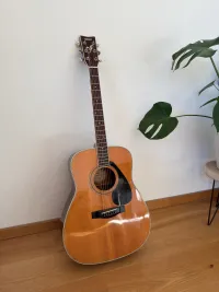 YAMAHA FG-441S Akustikgitarre - edanci [Yesterday, 11:37 pm]