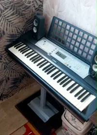 YAMAHA Ypt 200 Synthesizer - Tiborr55 [Yesterday, 6:38 pm]