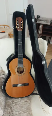 - Windfeldt No. 14 dán tömörfa mester gitár