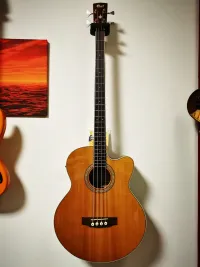 Cort SJB6FX NAT