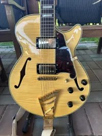DAngelico SS EXL1 2015 Kórea Guitarra jazz - golddies [Today, 8:04 pm]