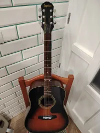 Epiphone PR 100