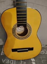 Falcon FG 103