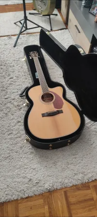 Fender Ppm3 standard