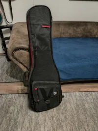 Gator GT-ELECTRIC Guitar case - Márkus József [Today, 9:18 am]
