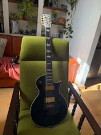 LTD EC-1007B evertune