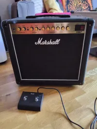 Marshall DSL20