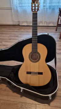 Paco Castillo 214 F Flamenco guitar - Th1986 [Today, 7:18 pm]