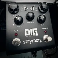 Strymon DIG v1 midnight