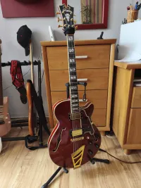DAngelico Excel ss Electric guitar - Maximmumuférőhely120fő [Today, 12:43 pm]