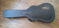 DAngelico Jazz  akusztik Estuche rígido - worldmusic [Today, 4:42 pm]