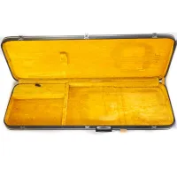 Ibanez Vintage Bass Case Precision Bass Hard Case - Vas Bandi [Today, 10:12 am]