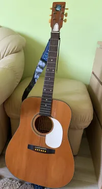 Reghin Roman acousic guitar ??? [Today, 4:47 pm]