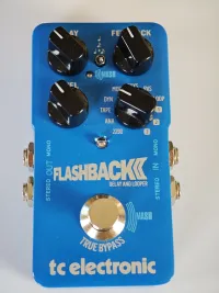 TC Electronic Flashback Effekt Pedal - BluEZs [Today, 8:07 am]