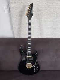 Carvin DC200