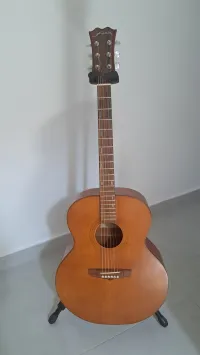 Fenix XL-30 Akustikgitarre - golddies [Today, 2:44 pm]