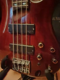 Ibanez SR Soundgear Bajo eléctrico - Görcsi Virág [Today, 3:05 pm]