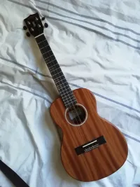 Kala Waterfall tenor Ukulele - L Csaba Bardócz [Ma, 14:57]
