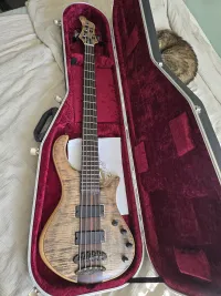 Mayones Patriot 5 5-Saiter Bass-Gitarre