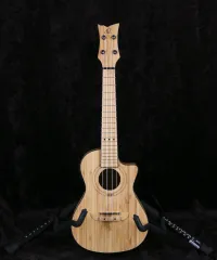 Ortega RUNAB-CC concert