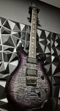 PRS SE Mark Holcomb Signature + M6 Electric guitar - rob [Today, 1:14 pm]