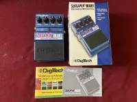 Digitech Screamin Blues