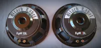 Electro Voice Black Label 300w