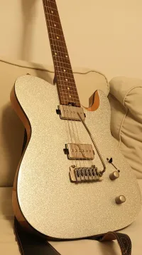 Harley Benton Fusion-T HH Roasted SSP modded Elektromos gitár - Vida J [Ma, 20:02]