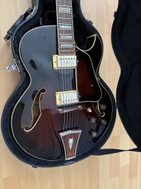 Ibanez AK95-DVS Guitarra jazz - Baranyai Martin [Today, 10:47 pm]