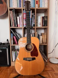 Ibanez V 302 Akusztikus gitár 12 húros - Marcell [Ma, 10:36]