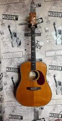 Michael Kelly LGD-FNA