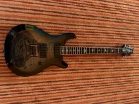 PRS SE Mark Holcomb