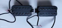 Seymour Duncan Pegasus Sentient