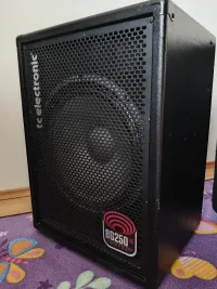 TC Electronic BG250-115MKII Bass Combo - levata [Today, 2:53 pm]