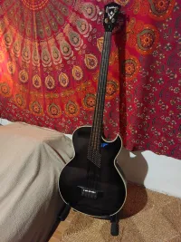 Washburn AB-20 Electro Acoustic Bass - Hajnal Pèter [Today, 8:57 pm]