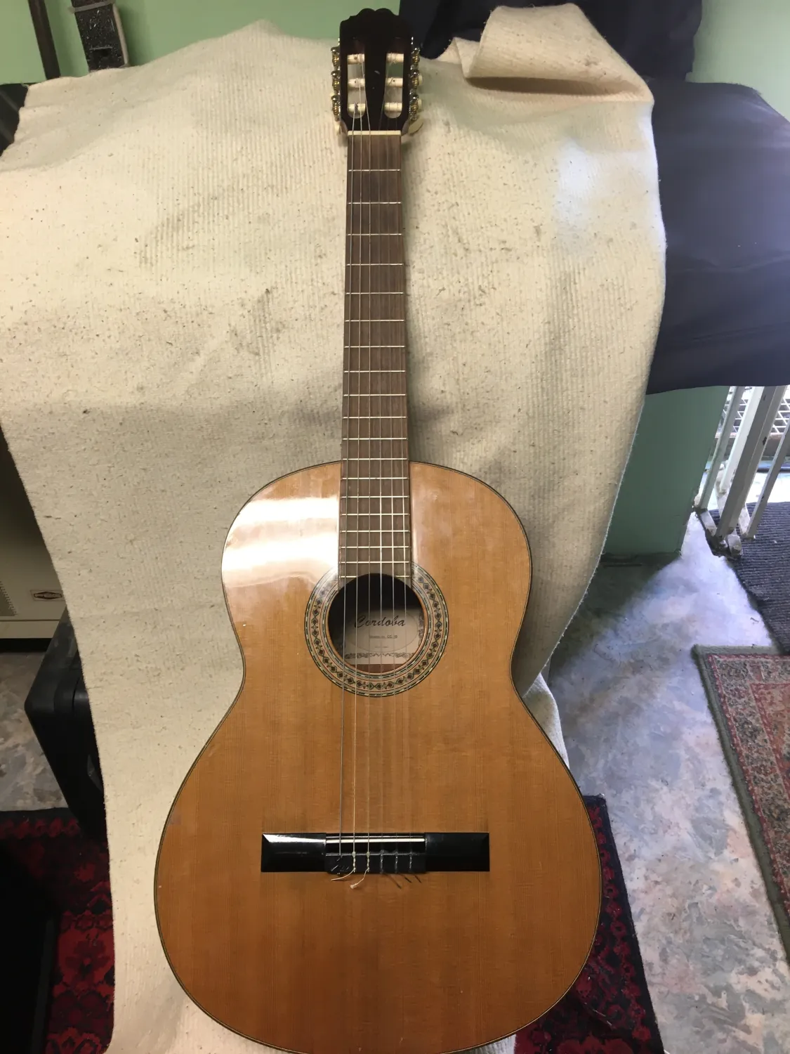Cordoba CC20 Acoustic guitar