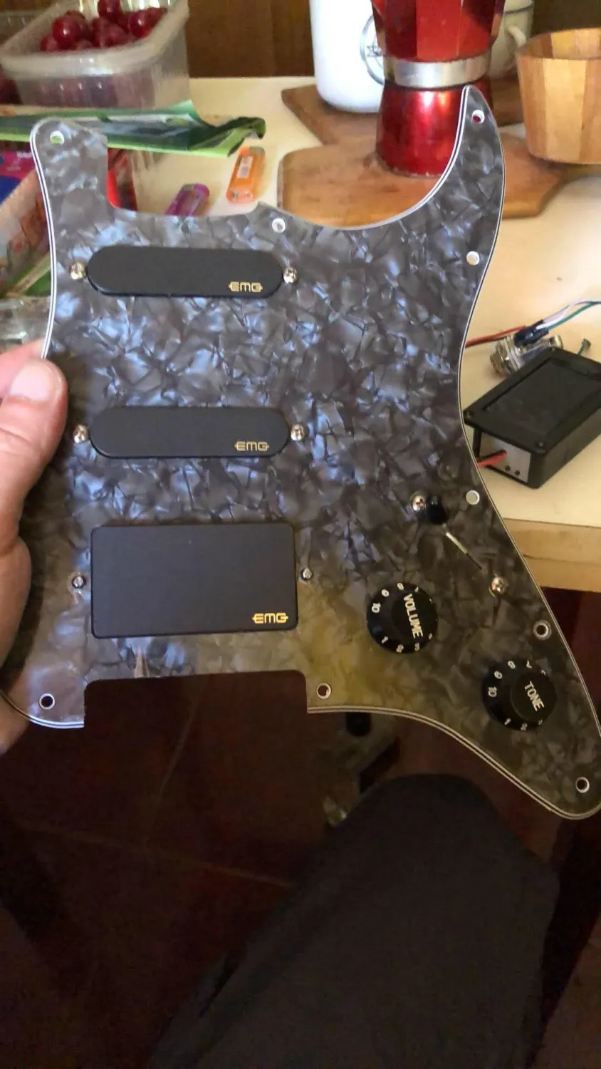 EMG SL20 Pickup set