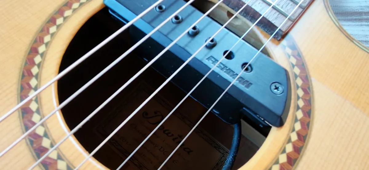 Fishman Blackstack Pickup