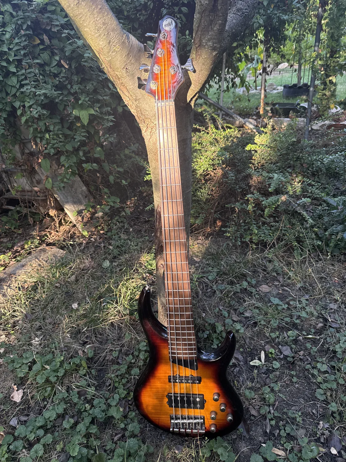 MTD Kingston Heir Bass guitar 5 strings