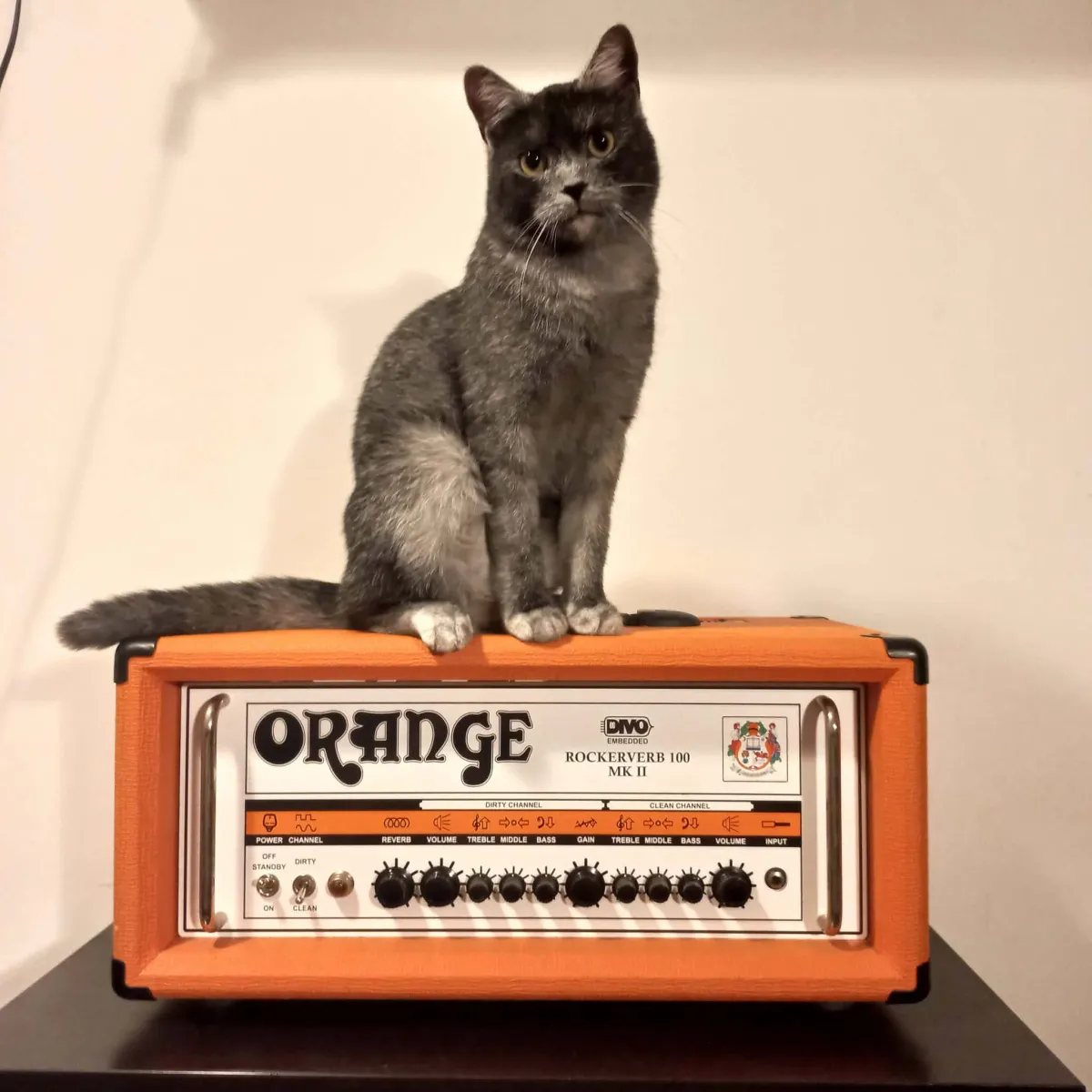 Orange Rockerverb 100 mk II. DIVO elektrónkový zosilňovač