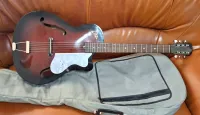 EKO 100  Artchop 1960 Jazzgitarre - instrument07 [Today, 5:51 pm]