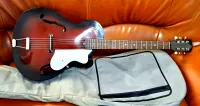 EKO 100  Artchop 1960 Jazzgitarre - instrument07 [Today, 1:10 am]