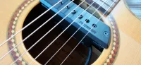 Fishman Blackstack