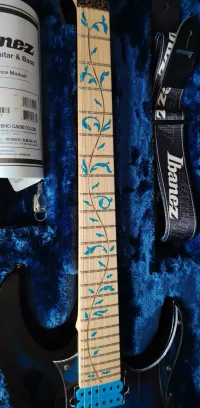 Ibanez JEM 77P-BFP Elektrická gitara - Panzer [Today, 9:12 pm]