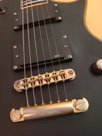 LTD EC 1000 VB
