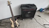 Peavey TNT 115