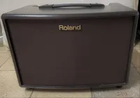 Roland AC 60 Acoustic guitar amplifier - Spanyiel Péter [Yesterday, 6:05 pm]