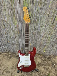 - Warmoth Custom made stratocaster
